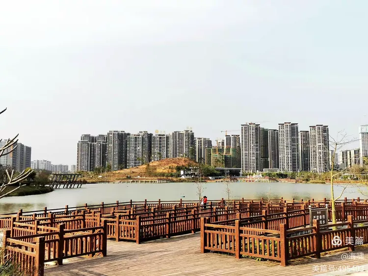 台山市金星湖湿地公园